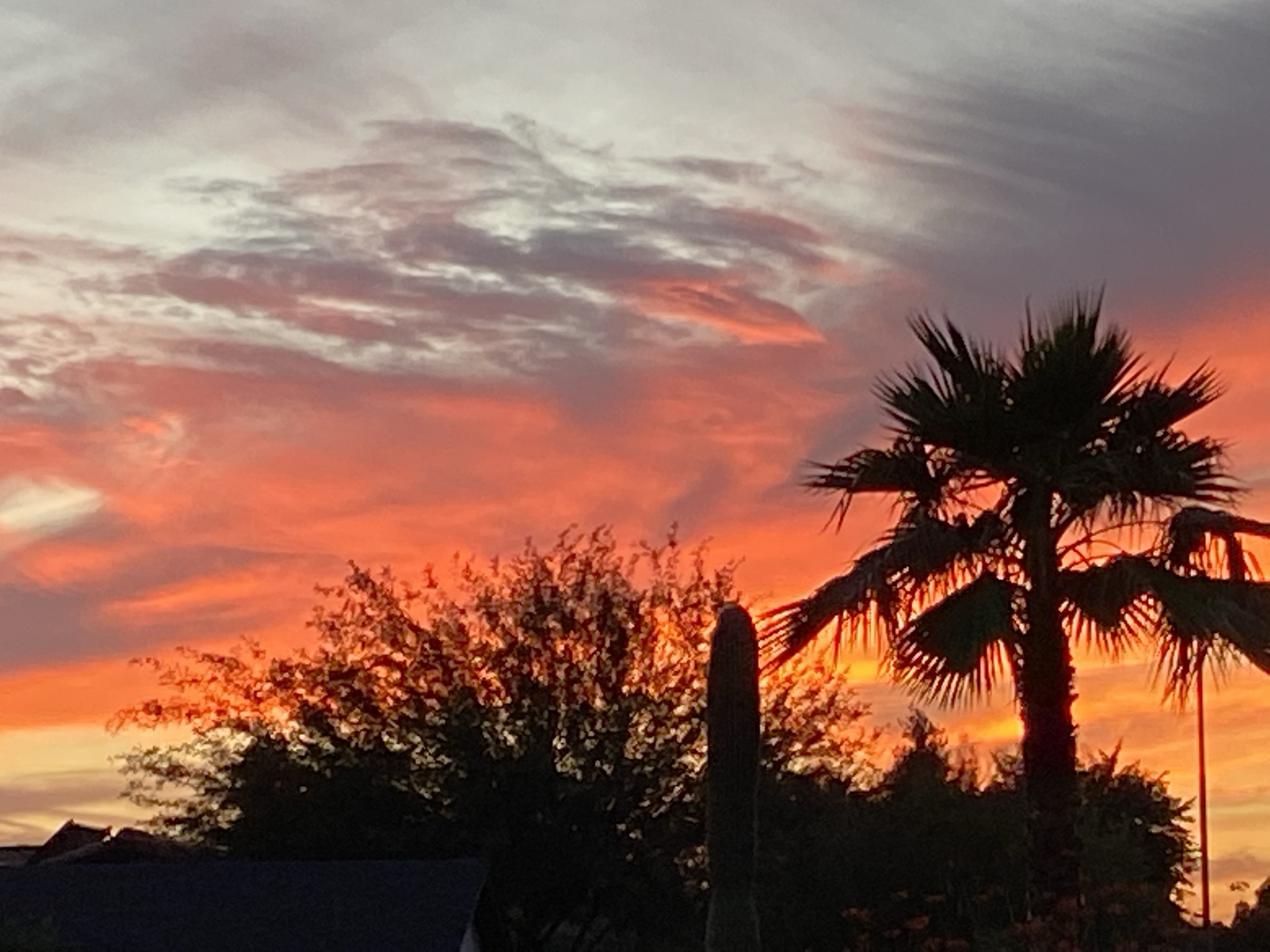 Paradise Valley sunset