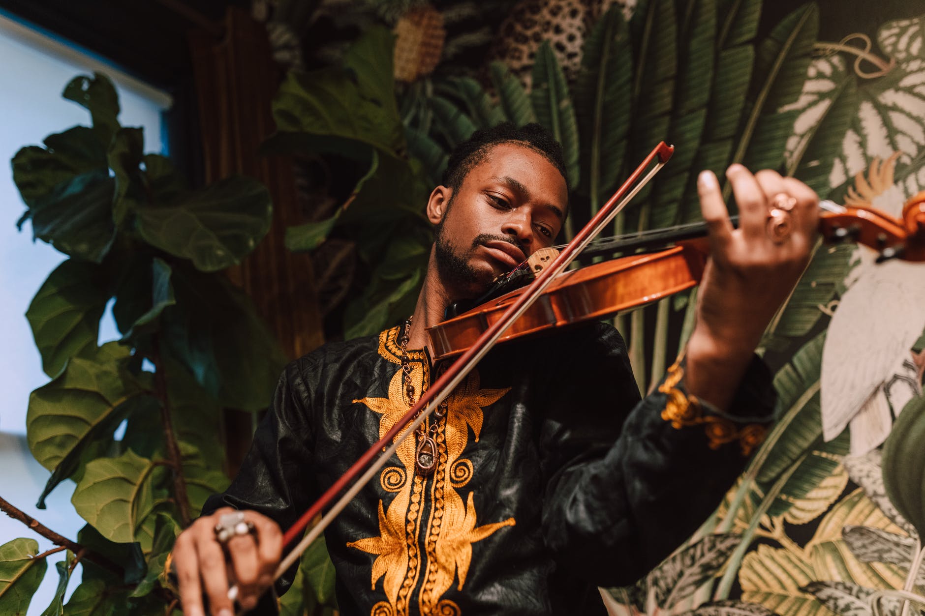 close up photo of man playing violin